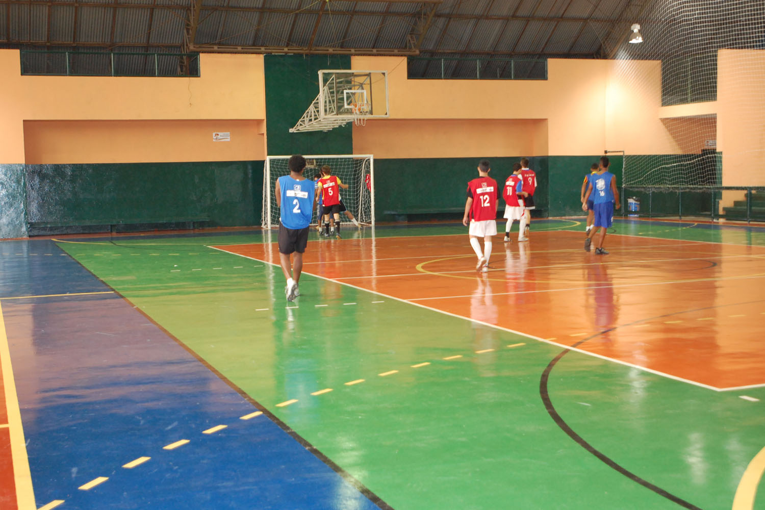 Centro Esportivo Vila Alpina: 55 Anos de Esporte e Comunidade